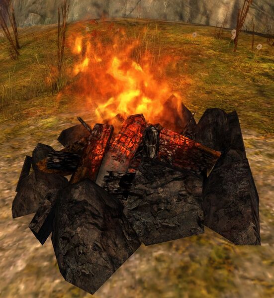 File:Campfire (Living World lit).jpg