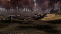 Thumbnail for version as of 01:10, 7 January 2021