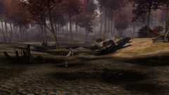 Caravan Wreckage.jpg