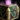 Disasembler 3BEK Kit.png