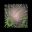 Entangling Web.png