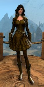 Appearance on light armor.