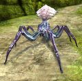 Jungle Spider.jpg
