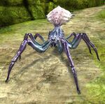 Jungle Spider.jpg