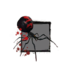 Juvenile Black Widow Spider.png