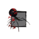 Juvenile Black Widow Spider.png