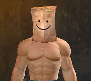 Paper-Bag Helm Skin (Happy).jpg