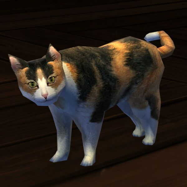File:Prop cat (calico).jpg