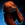 Reliquary of the Bear Ceremonial Hood.png