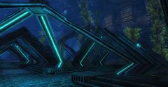 The Aquarium.jpg