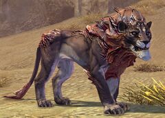 Veteran Sand Lion.jpg
