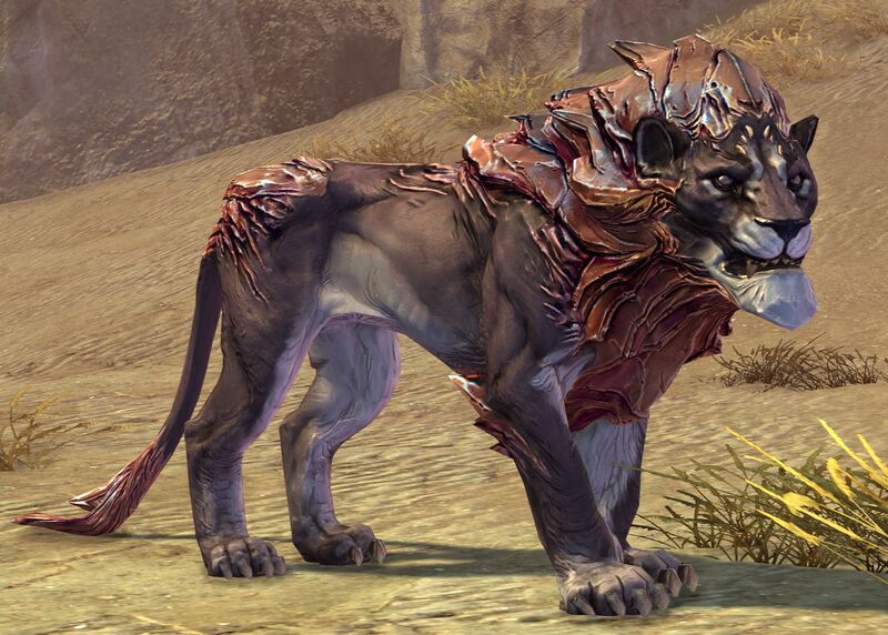 File:Veteran Sand Lion.jpg