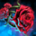 Vinelord Edgebloom Focus.png