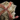 Giant Dusty Wintersday Gift