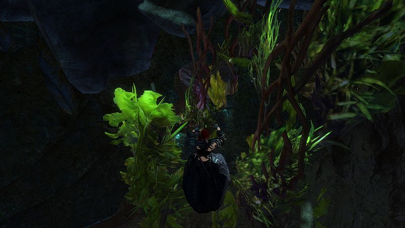 File:GriffonrookRunPuzzleEntrance.jpg