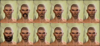 Human male facial hair.jpg