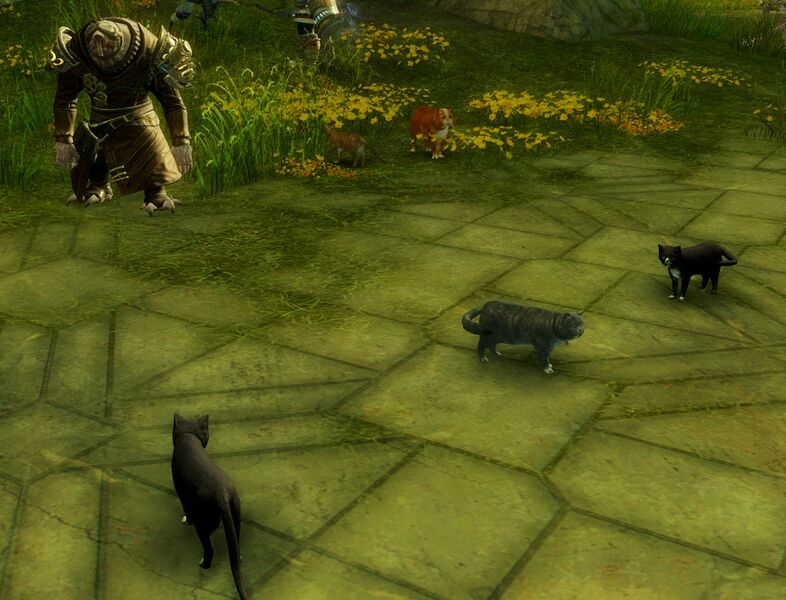 File:Ivan and cats.jpg