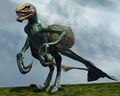 Jungle Raptor.jpg