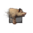 Juvenile Pig.png