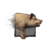 Juvenile Pig.png