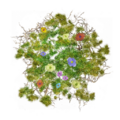 Render of the footfalls.