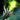 Kurzick Torch.png