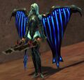 Largos female.jpg