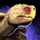 Mini Albino Turtle Hatchling.png