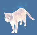 Thumbnail for version as of 19:05, 11 February 2017
