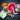 Pact Fleet Survival Pack
