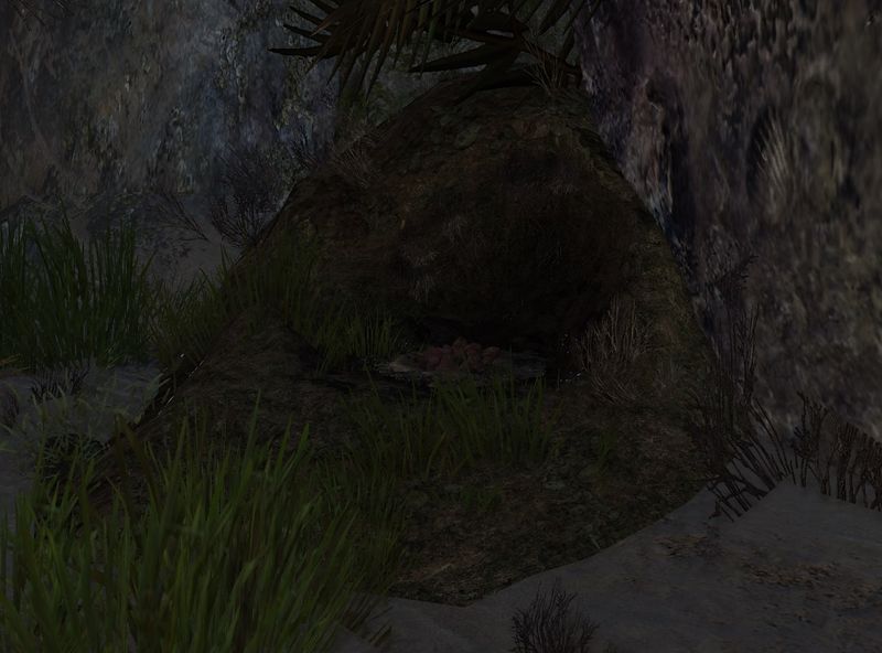 File:Reef Skelk Nest.jpg