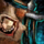 Savage Guild Back Banner.png