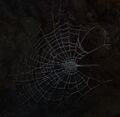 Thumbnail for version as of 16:39, 21 July 2025