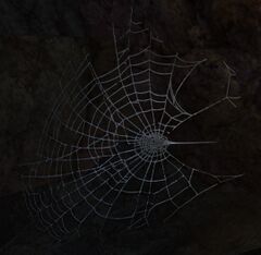Sticky Spider Web.jpg