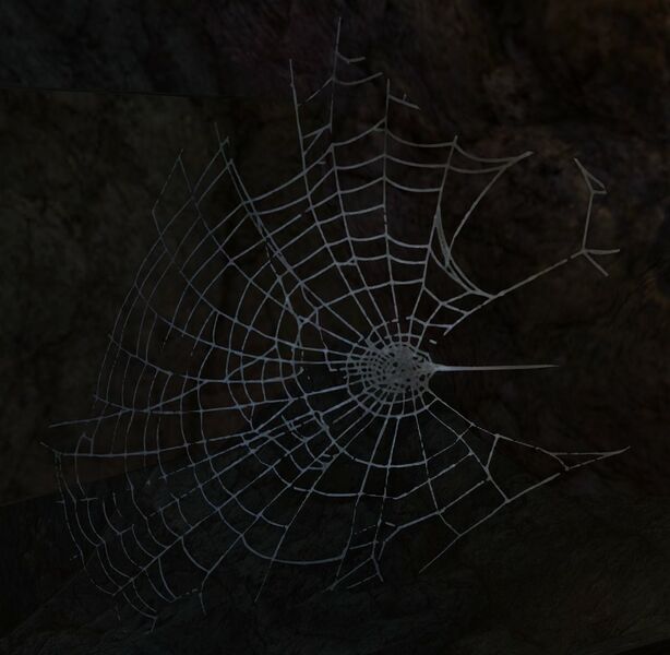 File:Sticky Spider Web.jpg
