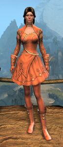 Appearance on light armor.