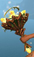 Sun-Grown Focus.jpg