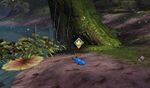 Tend to the butterfly gwyl ring. location.jpg