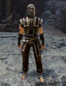 Veteran Desert Bandit.jpg