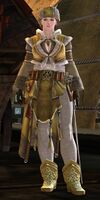 Bartender norn.jpg