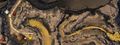 Thumbnail for version as of 01:43, 14 December 2020