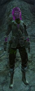 Guild Initiative Representative (guild mission).jpg