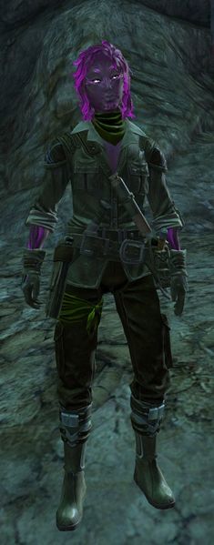 File:Guild Initiative Representative (guild mission).jpg