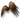 Hawk Wings Glider Combo