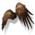 Hawk Wings Glider Combo.png