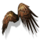 Hawk Wings Glider Combo.png