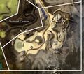 Thumbnail for version as of 00:56, 9 May 2025