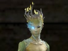 Jormag Right Eye Infusion.jpg