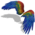 Macaw Wings Glider Combo.png