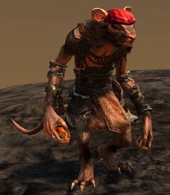 Pirate in Training.jpg